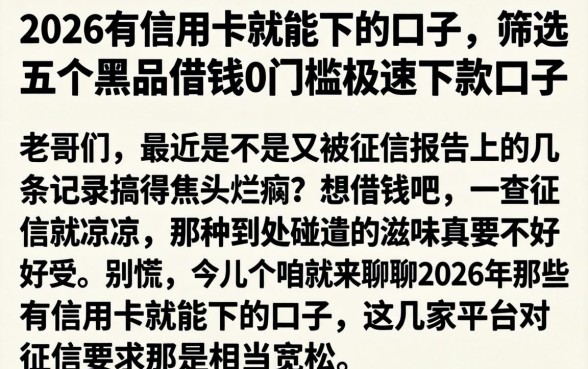 2026有信用卡就能下的口子，筛选五个黑户借钱0门槛极速下款口子