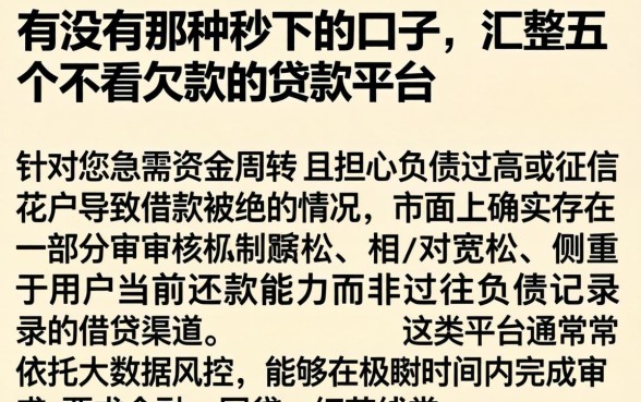 有没有那种秒下的口子,汇整五个不看欠款的贷款平台