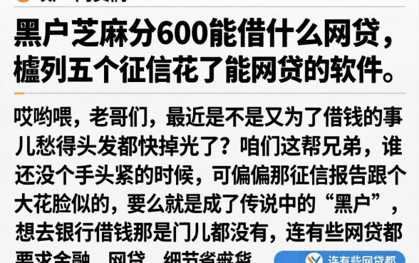 黑户芝麻分600能借什么网贷，胪列五个征信花了能网贷的软件