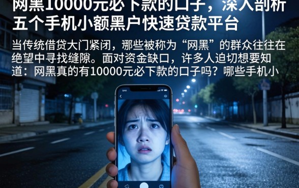 网黑10000元必下款的口子，深入剖析五个手机小额黑户快速贷款平台