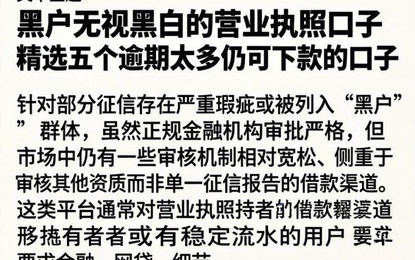 黑户无视黑白的营业执照口子，精选五个逾期太多仍可下款的口子
