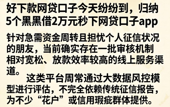 好下款的网贷口子今天纷纷到,归纳5个黑户借2万元秒下网贷口子app