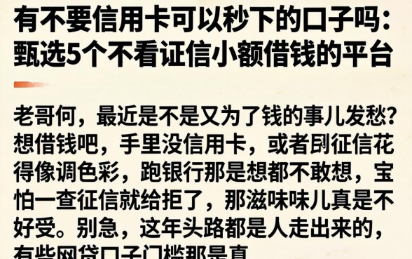 有不要信用卡可以秒下的口子吗,甄选5个不看征信小额借钱的平台