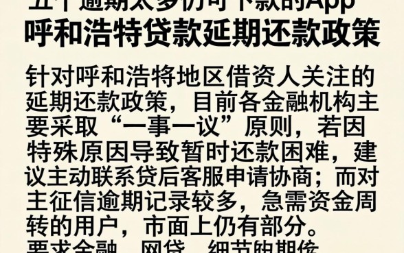 呼和浩特贷款延期还款政策，罗列五个逾期太多仍可下款的app