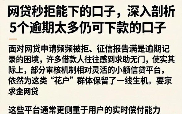 网贷秒拒能下的口子，深入剖析5个逾期太多仍可下款的口子