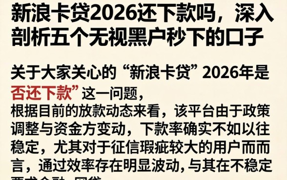 新浪卡贷2026还下款吗，深入剖析五个无视黑户秒下的口子