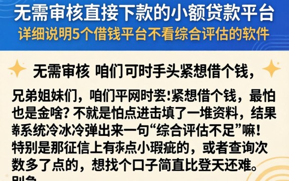 无需审核直接下款的小额贷款平台,详尽说明5个借钱平台不看综合评估的软件