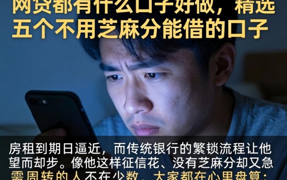 网贷都有什么口子好做，精选五个不用芝麻分能借的口子