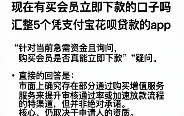 现在有买会员立即下款的口子吗，汇整5个凭支付宝花呗贷款的app