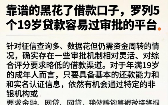 靠谱的黑花了借款口子，罗列5个19岁贷款容易过审批的平台