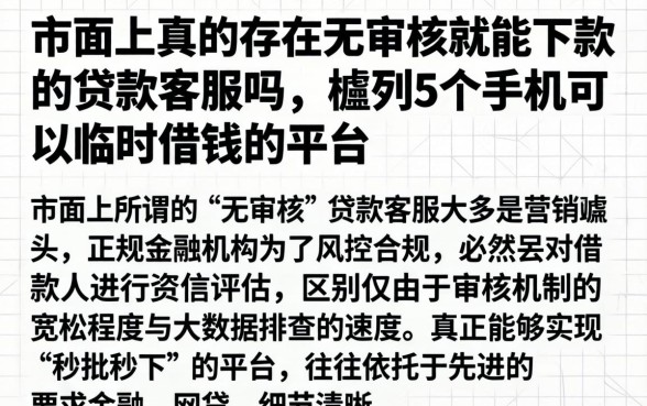 市面上真的存在无审核就能下款的贷款客服吗，胪列5个手机可以临时借钱的平台