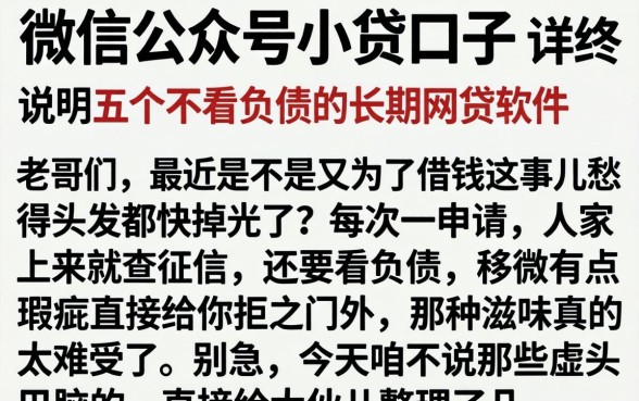 微信公众号小贷口子，详尽说明五个不看负债的长期网贷软件