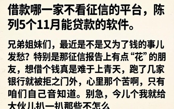 借款哪一家不看征信的平台,陈列5个11月能贷款的软件