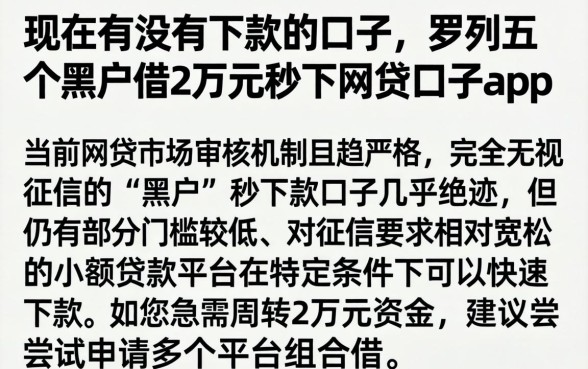 现在有没有下款的口子，罗列五个黑户借2万元秒下网贷口子app
