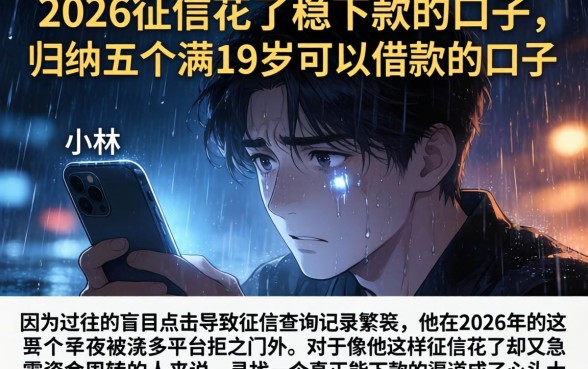 2026征信花了稳下款的口子，归纳五个满19岁可以借款的口子