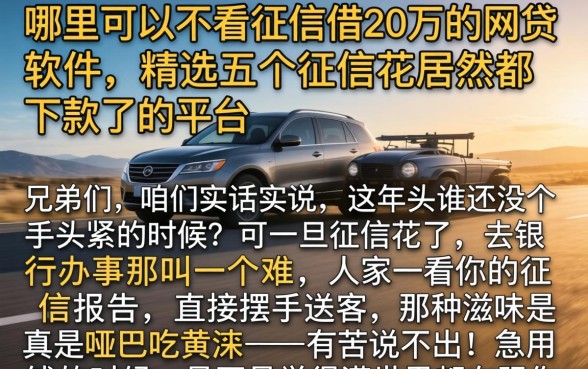 哪里可以不看征信借20万的网贷软件,精选五个征信花居然都下款了的平台