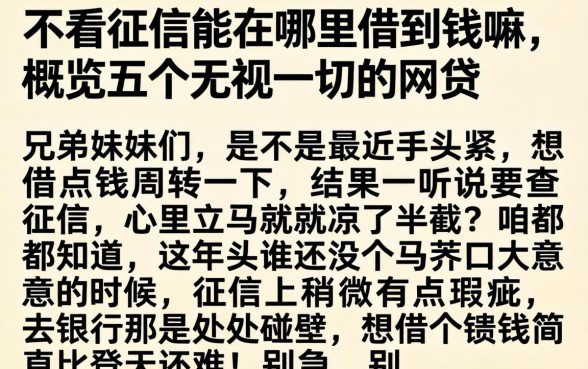 不看征信能在哪里借到钱嘛，概览五个无视一切的网贷