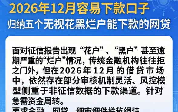2026年12月容易下款口子，归纳五个无视花黑烂户能下款的网贷