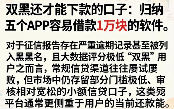 双黑还才能下款的口子,归纳五个APP容易借款1万块的软件
