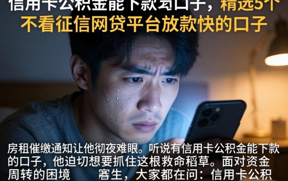 信用卡公积金能下款的口子，精选5个不看征信网贷平台放款快的口子