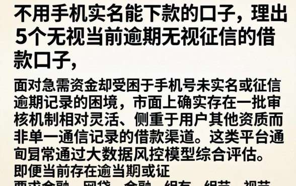 不用手机实名能下款的口子，理出5个无视当前逾期无视征信的借款口子