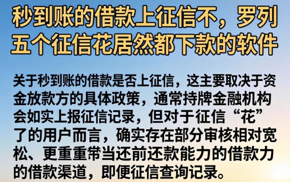 秒到账的借款上征信不，罗列五个征信花居然都下款的软件