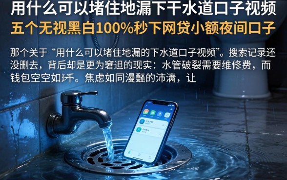 用什么可以堵住地漏的下水道口子视频,概括五个无视黑白100%秒下网贷小额夜间口子