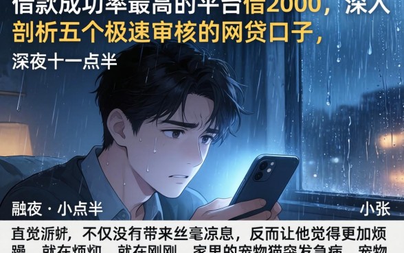 借款成功率最高的平台借2000,深入剖析五个极速审核的网贷口子