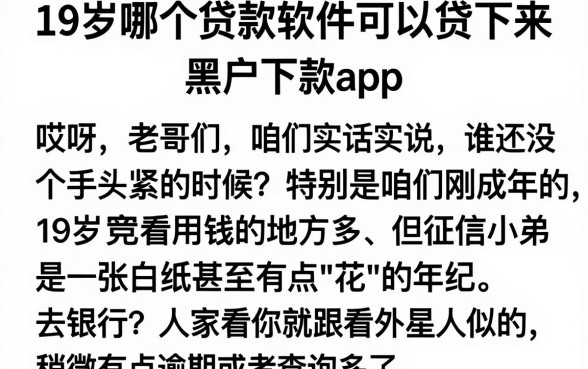 19岁哪个贷款软件可以贷下来，概括五个黑户下款app
