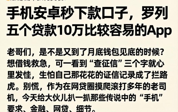 手机安卓秒下款的口子，罗列五个贷款10万比较容易的app
