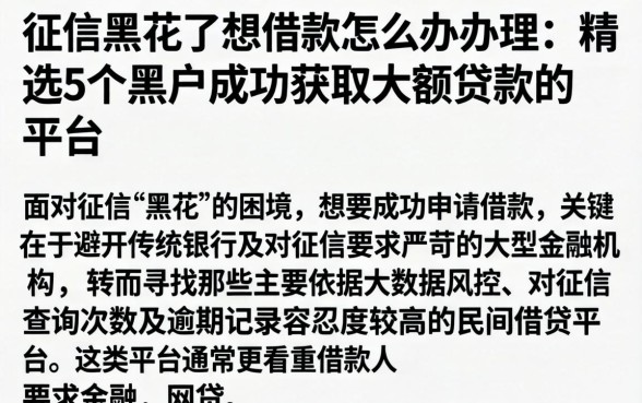 征信黑花了想借款怎么办理，精选5个黑户成功获取大额贷款的平台
