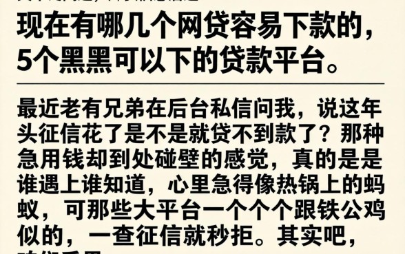 现在有哪几个网贷容易下款的，详细阐述5个黑户可以下的贷款平台
