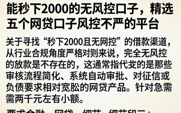 能秒下2000的无风控口子，精选五个网贷口子风控不严的平台