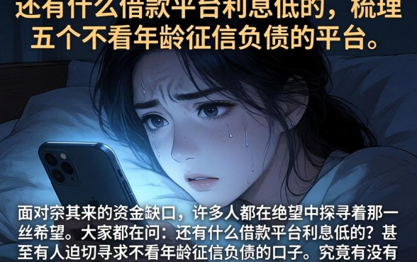 还有什么借款平台利息低的,梳理五个不看年龄征信负债的平台