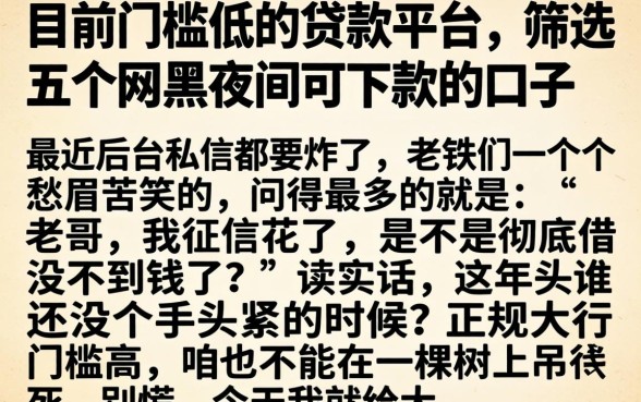 目前门槛低的贷款平台，筛选五个网黑夜间可下款的口子