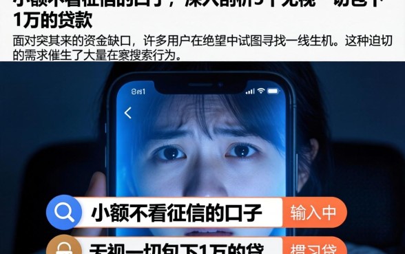 小额不看征信的口子,深入剖析5个无视一切包下1万的贷款
