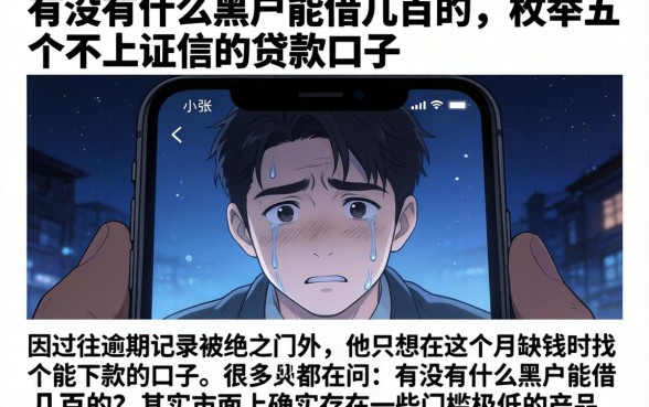 有没有什么黑户能借几百的,枚举五个不上征信的贷款口子