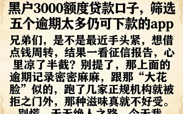 黑户3000额度贷款口子，筛选五个逾期太多仍可下款的app