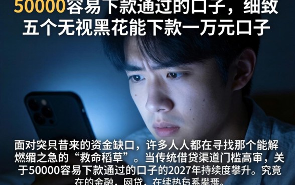 50000容易下款通过的口子,细致阐述五个无视黑花能下款一万元口子