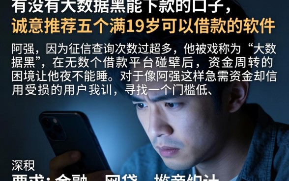 有没有大数据黑能下款的口子,诚意推荐五个满19岁可以借款的软件