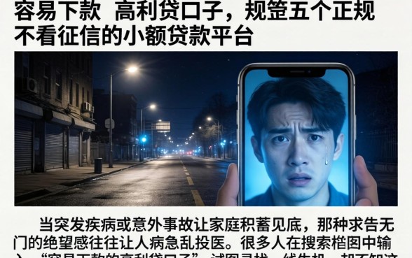 容易下款的高利贷口子,规整五个正规不看征信的小额贷款平台