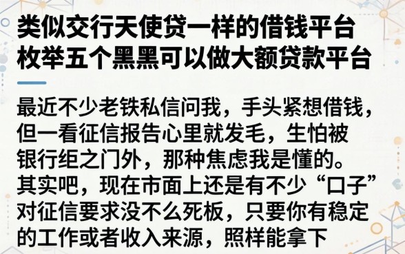类似交行天使贷一样的借钱平台，枚举五个黑户可以做大额贷款平台