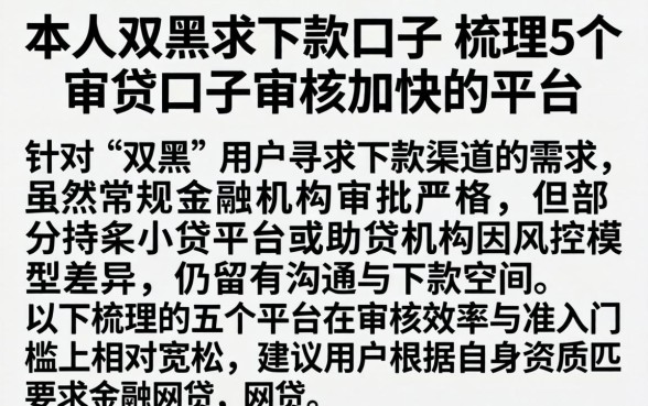 本人双黑求下款的口子，梳理5个审贷口子审核加快的平台