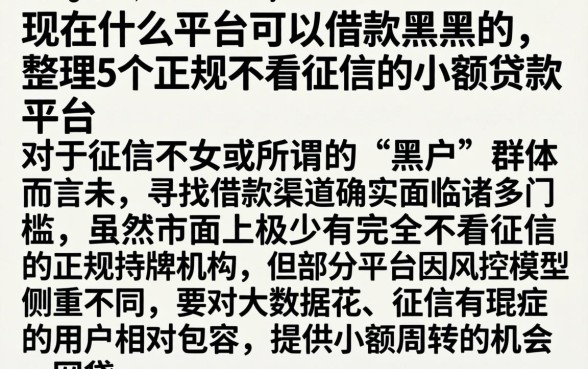 现在什么平台可以借款黑户的，整理5个正规不看征信的小额贷款平台