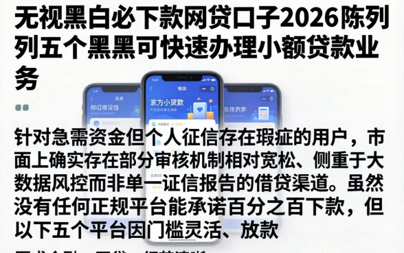 无视黑白必下款的网贷口子2026，陈列五个黑户可快速办理小额贷款业务的软件