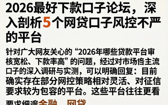 2026最好下款的口子论坛，深入剖析5个网贷口子风控不严的平台