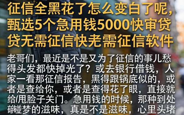 征信全黑花了怎么变白了呢,甄选5个急用钱5000快审快贷无需征信软件
