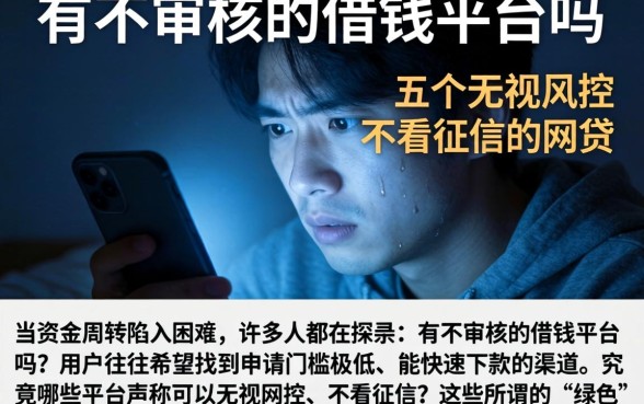有不审核的借钱平台吗，细致阐述五个无视风控不看征信的网贷