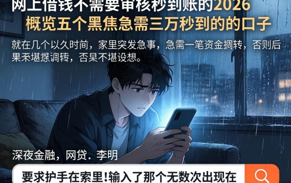 网上借钱不需要审核秒到账的2026，概览五个黑户急需三万秒到的的口子