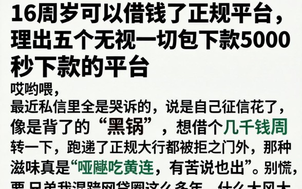 16周岁可以借钱的正规平台，理出五个无视一切包下款5000秒下款的平台